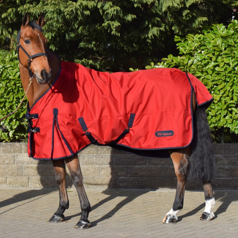 R189S Rastrick 0g Lightweight Turnout Rug- Sizes 4ft3 to 7ft